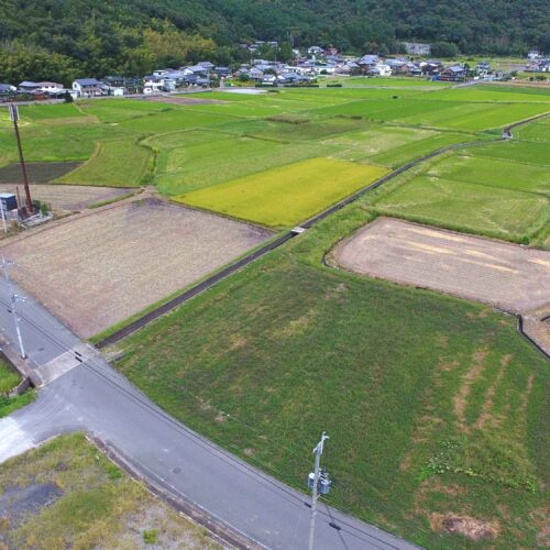 令和6年度 第1号　小脇地区　排水路工事